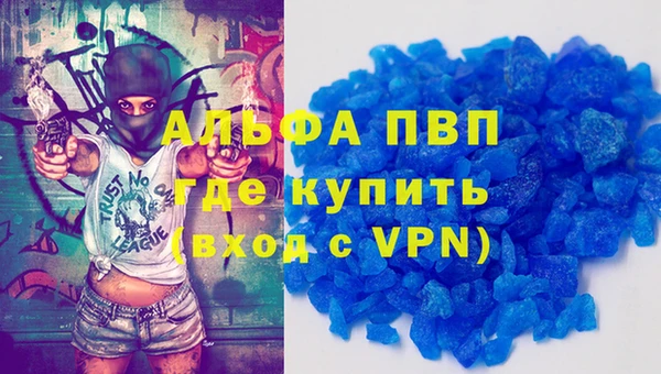 стафф Вяземский