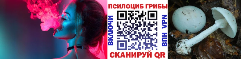 как найти наркотики  Воронеж  Галлюциногенные грибы GOLDEN TEACHER 